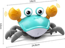 Cute Sensing Crawling Crab